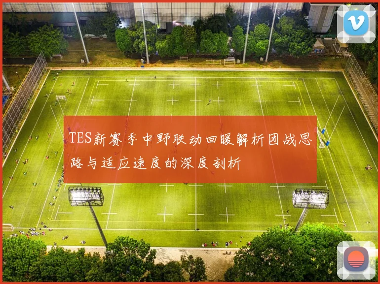TES新赛季中野联动回暖解析团战思路与适应速度的深度剖析