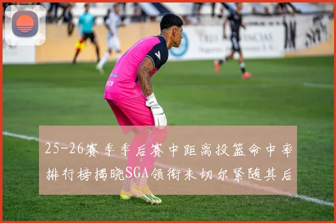 25-26赛季季后赛中距离投篮命中率排行榜揭晓SGA领衔米切尔紧随其后哈登位列第五